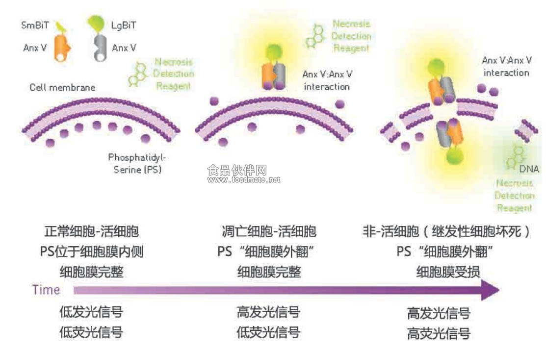 亚洲体育官网官方正版(图1)