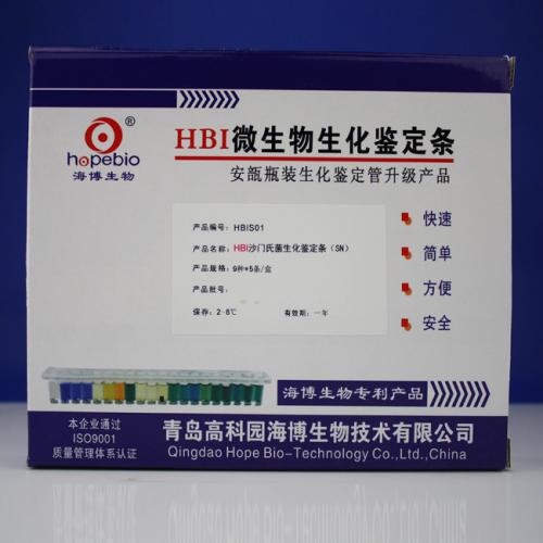 以数据算力优化交通运力
