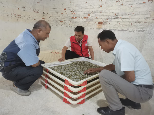 南京证券官方软件下载(图1)
